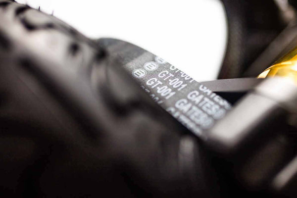 Evolve GTX bambou Tous Chemins